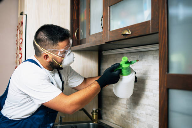 Best Pest Removal Services  in Pinetop Lakeside, AZ