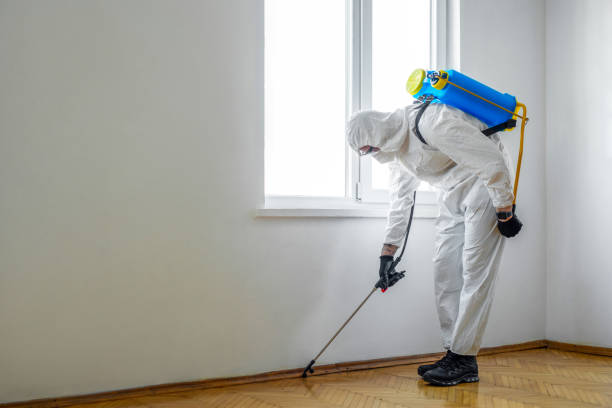 Best Emergency Pest Control  in Pinetop Lakeside, AZ